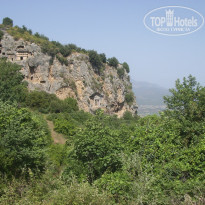 фото из отзыва ID 1023351