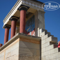 фото из отзыва ID 1023352