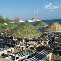 фото из отзыва ID 1023456