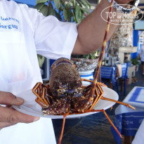 фото из отзыва ID 1021394