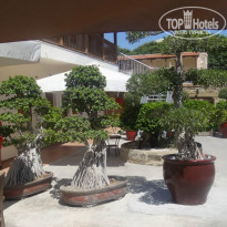 фото из отзыва ID 1021394