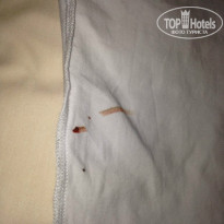 фото из отзыва ID 1023560