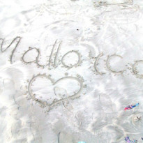 фото из отзыва ID 1023712