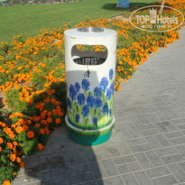 фото из отзыва ID 1023728