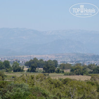 фото из отзыва ID 1024142