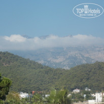 фото из отзыва ID 1024197