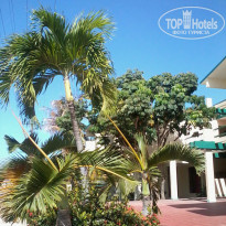 фото из отзыва ID 1024392