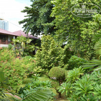 фото из отзыва ID 1024482