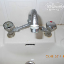 фото из отзыва ID 1024498