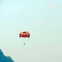 фото из отзыва ID 1024569