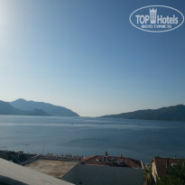 фото из отзыва ID 1024585