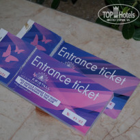 фото из отзыва ID 1024786