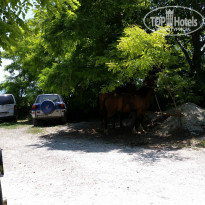 фото из отзыва ID 1024810