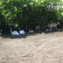 фото из отзыва ID 1024810