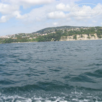 фото из отзыва ID 1024810