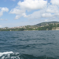 фото из отзыва ID 1024810