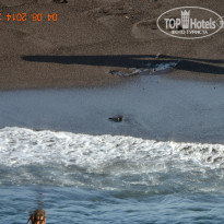 фото из отзыва ID 1025004