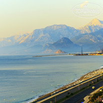 фото из отзыва ID 1025039