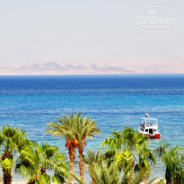 фото из отзыва ID 1025032