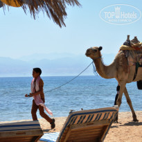 фото из отзыва ID 1025032