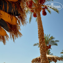 фото из отзыва ID 1025032