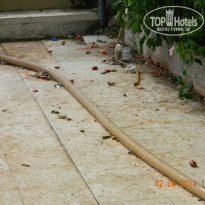 фото из отзыва ID 1025110