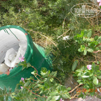 фото из отзыва ID 1025110