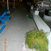 фото из отзыва ID 1025110