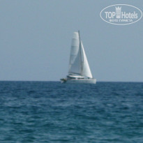 фото из отзыва ID 1025300