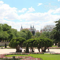 фото из отзыва ID 1025474