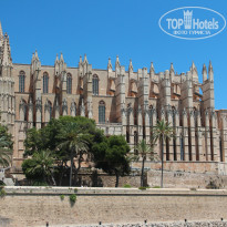 фото из отзыва ID 1025474