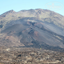 фото из отзыва ID 1025490