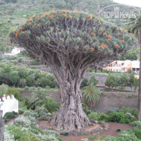 фото из отзыва ID 1025490