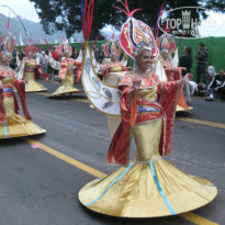 фото из отзыва ID 1025490