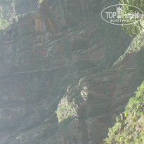 фото из отзыва ID 1025490