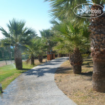 фото из отзыва ID 1021872