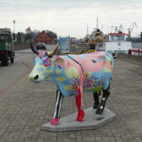 фото из отзыва ID 1025689