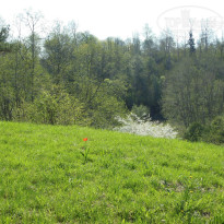 фото из отзыва ID 1025689