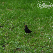 фото из отзыва ID 1025689