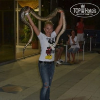 фото из отзыва ID 1025988