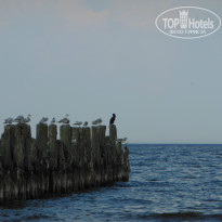 фото из отзыва ID 1025689