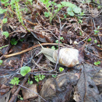 фото из отзыва ID 1025689