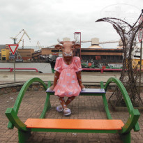 фото из отзыва ID 1025689