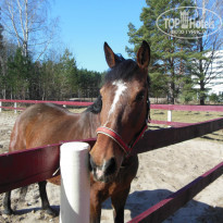 фото из отзыва ID 1025689