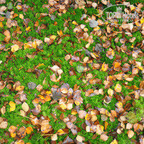 фото из отзыва ID 1026044