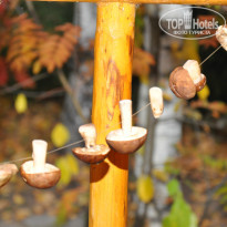 фото из отзыва ID 1026044