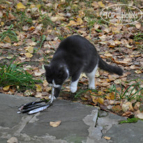 фото из отзыва ID 1026044