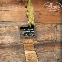 фото из отзыва ID 1026044