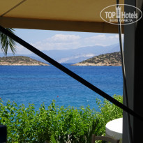 фото из отзыва ID 1026211