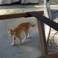 фото из отзыва ID 1026211